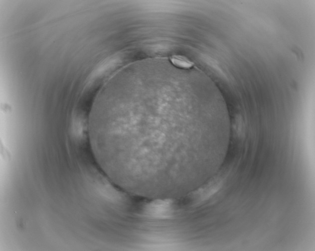 X0000091200138200708091314