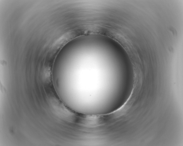 X0000091200144200708091313
