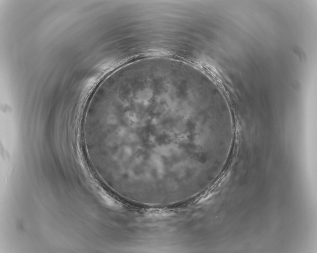 X0000091200145200708091313