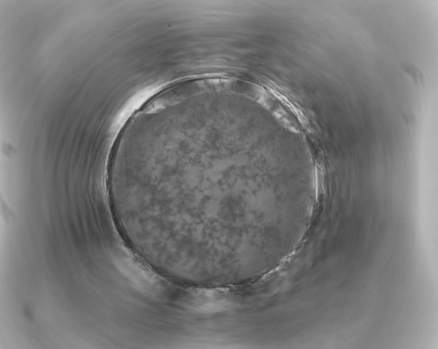X0000091200147200708091313