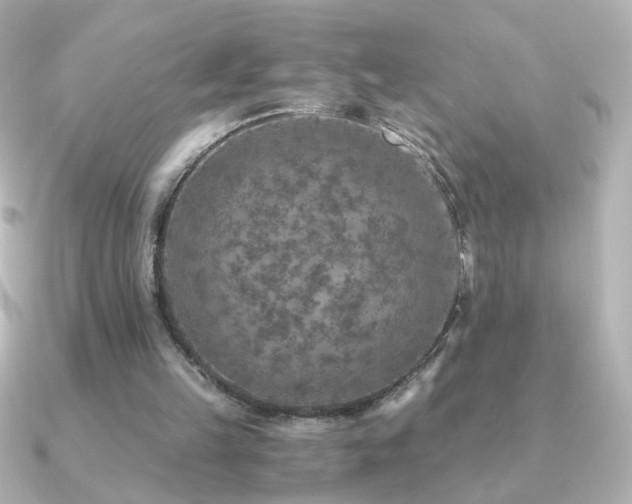 X0000091200149200708091313