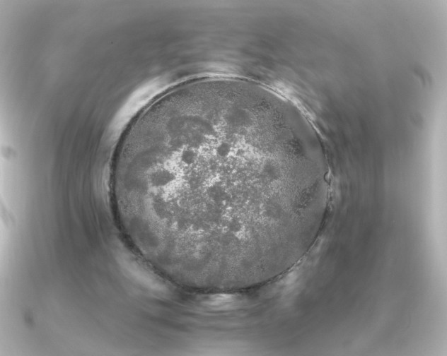 X0000091200151200708091313