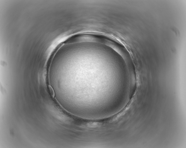 X0000091200152200708091313