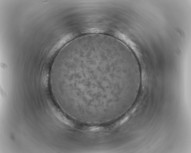 X0000091200153200708091313