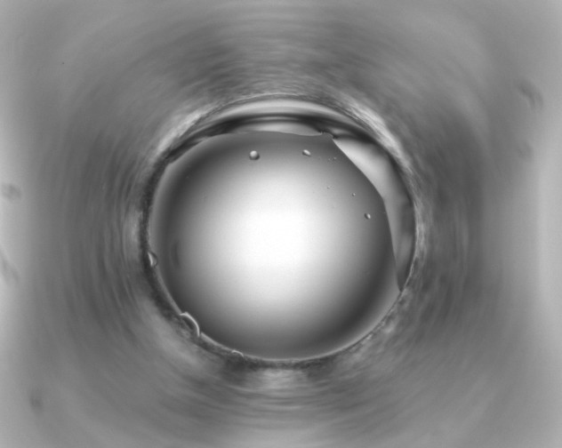 X0000091200154200708091313