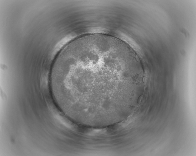 X0000091200155200708091313