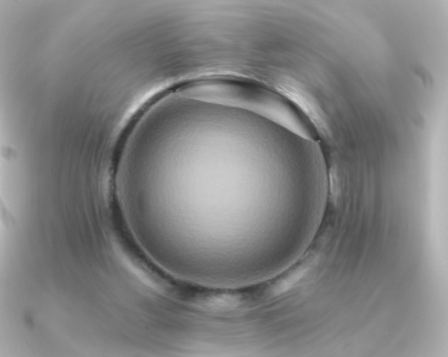 X0000091200156200708091313