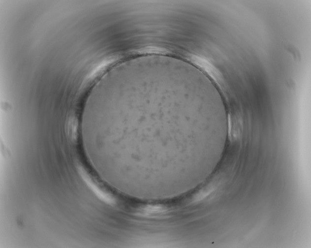 X0000091200157200708091313