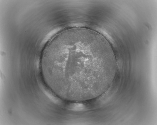 X0000091200159200708091313