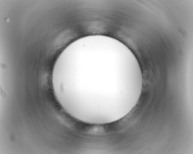 X0000091200162200708091313