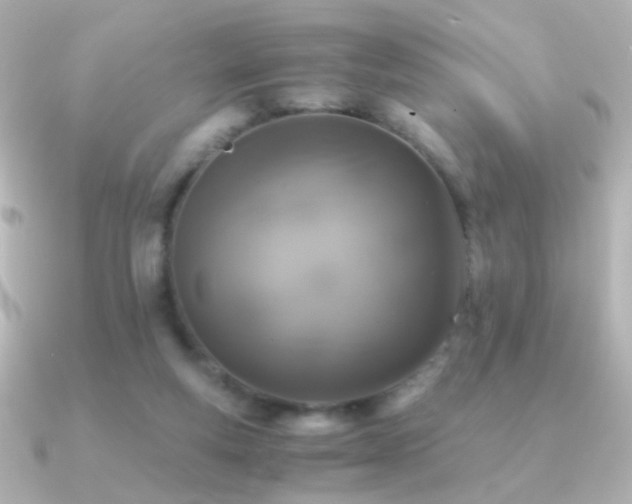 X0000091200163200708091313