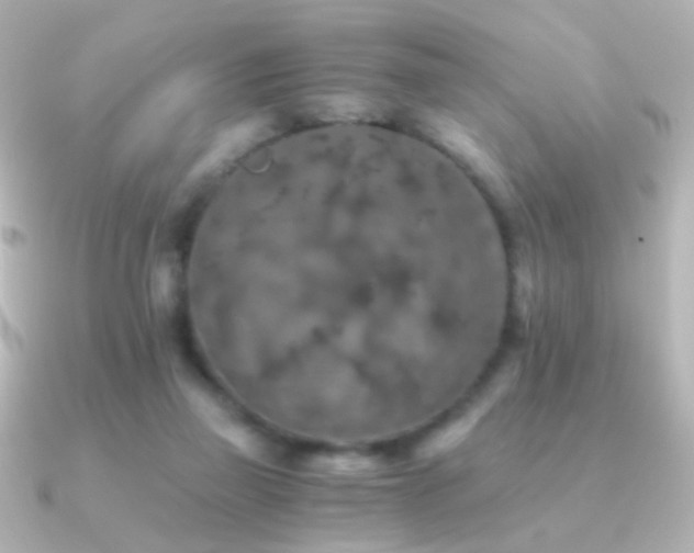 X0000091200165200708091313