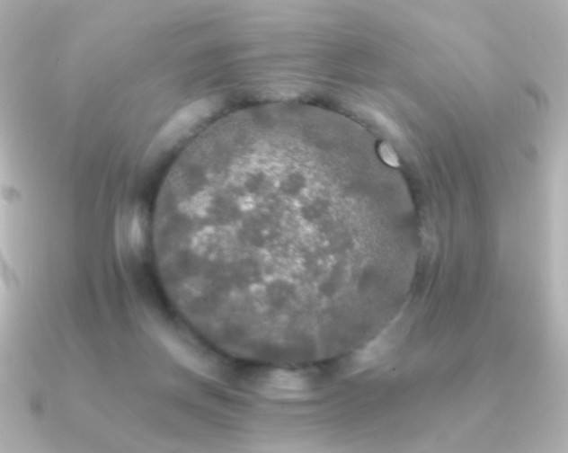 X0000091200166200708091313