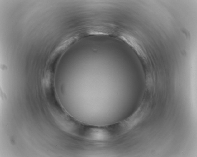 X0000091200167200708091313