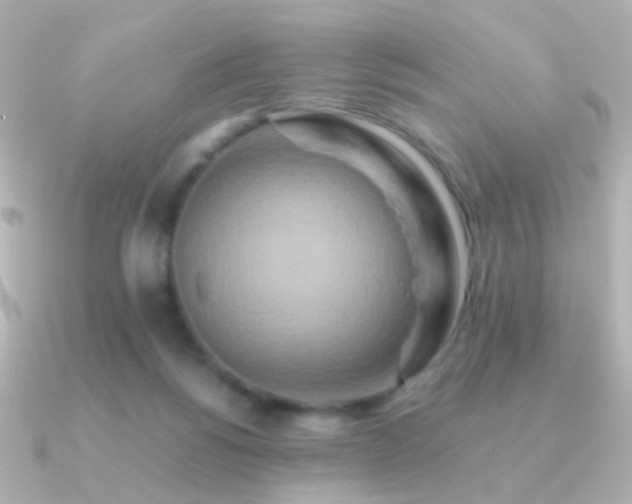 X0000091200168200708091313