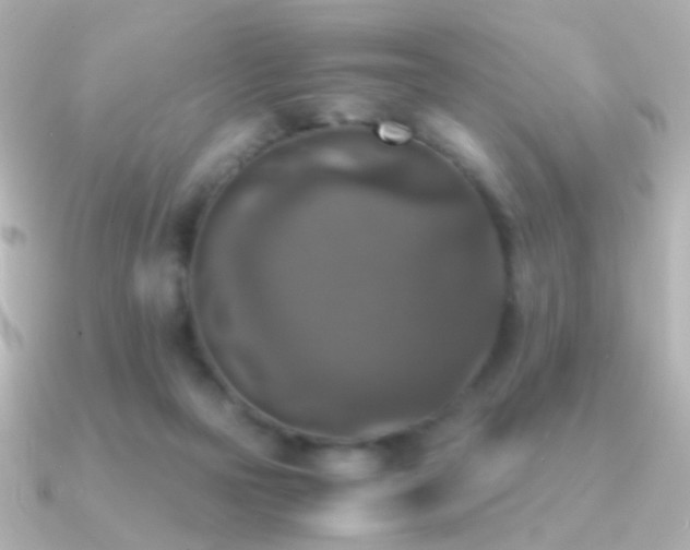 X0000091200169200708091313