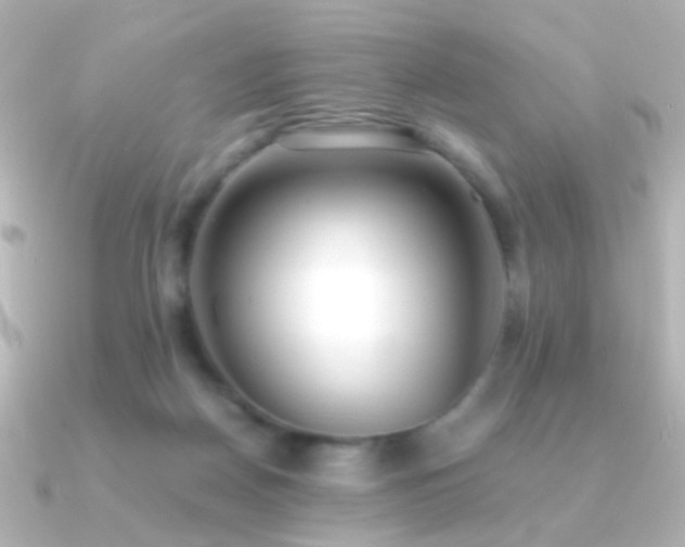X0000091200170200708091313