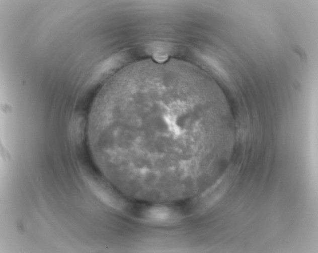 X0000091200171200708091313