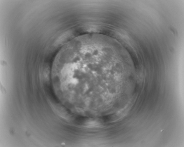 X0000091200175200708091313