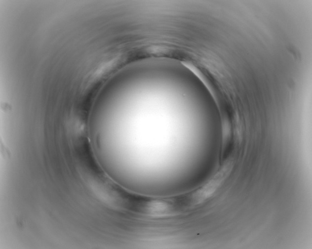 X0000091200176200708091313