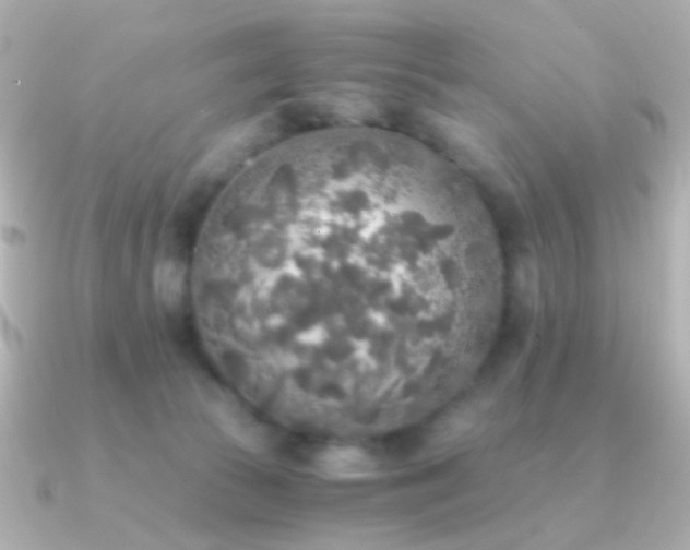 X0000091200177200708091313