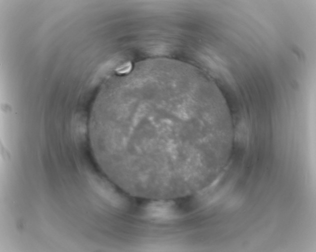 X0000091200179200708091313