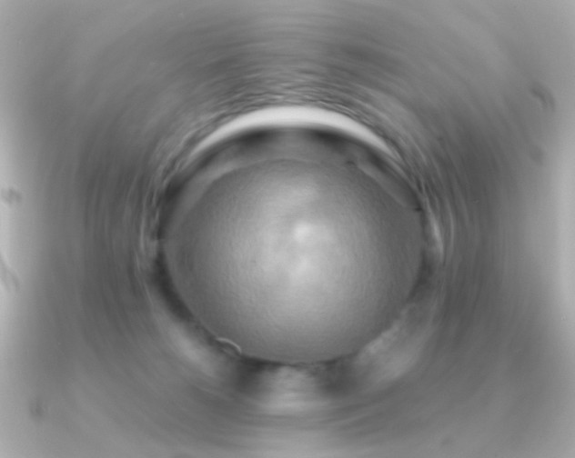 X0000091200180200708091313