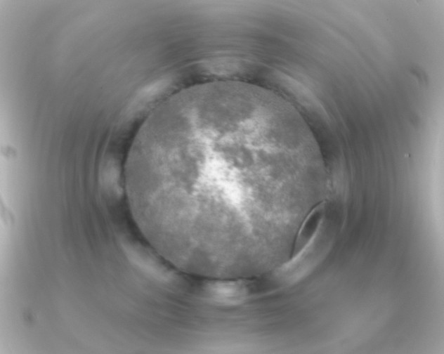 X0000091200187200708091313