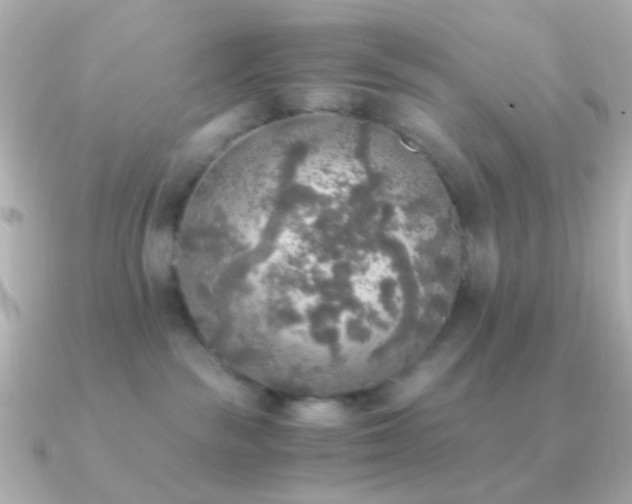 X0000091200189200708091313