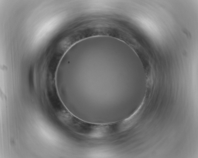 X0000091200191200708091313
