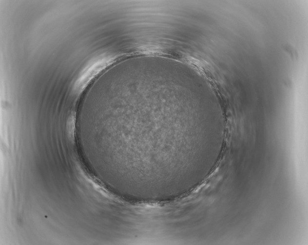 X0000091200194200708091313