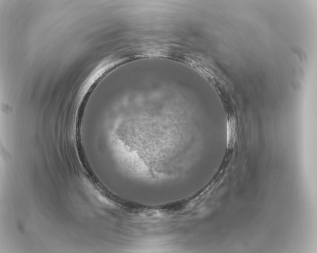 X0000091200195200708091313