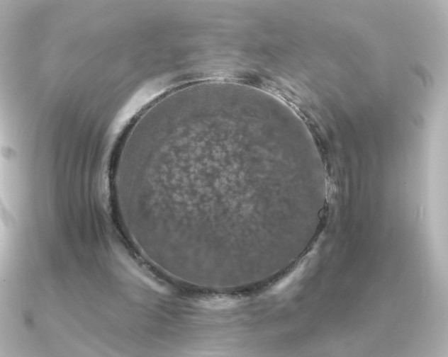 X0000091200198200708091313