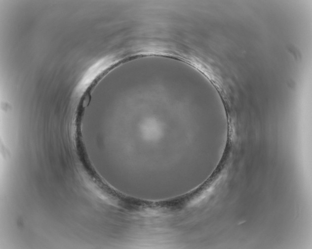 X0000091200199200708091313