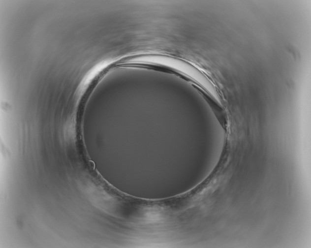 X0000091200200200708091313