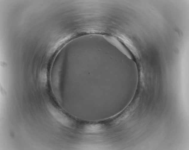 X0000091200202200708091313