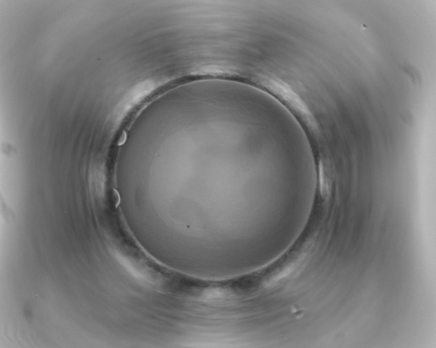 X0000091200204200708091313