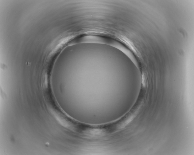 X0000091200205200708091313