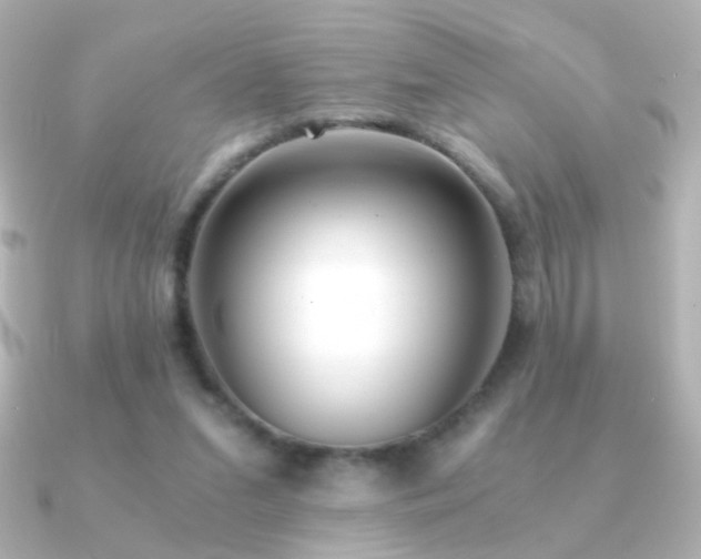 X0000091200207200708091313