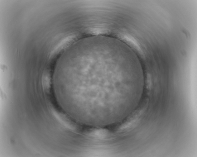 X0000091200210200708091313