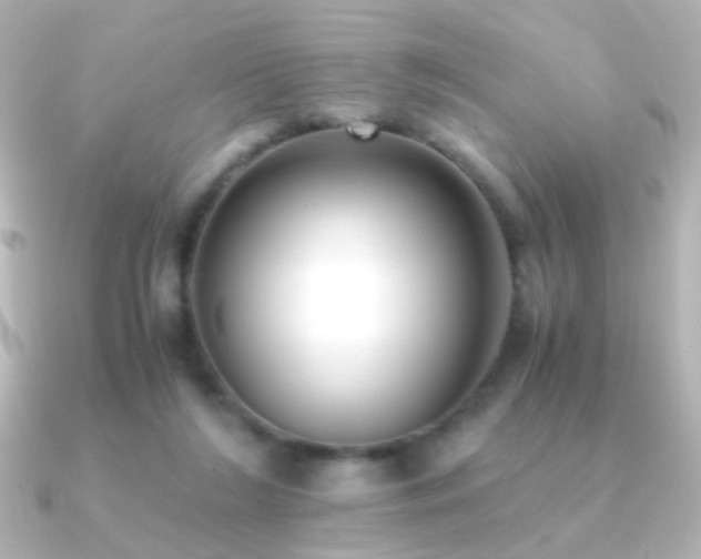 X0000091200212200708091313