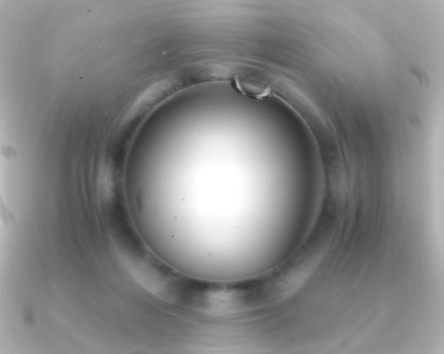 X0000091200216200708091313