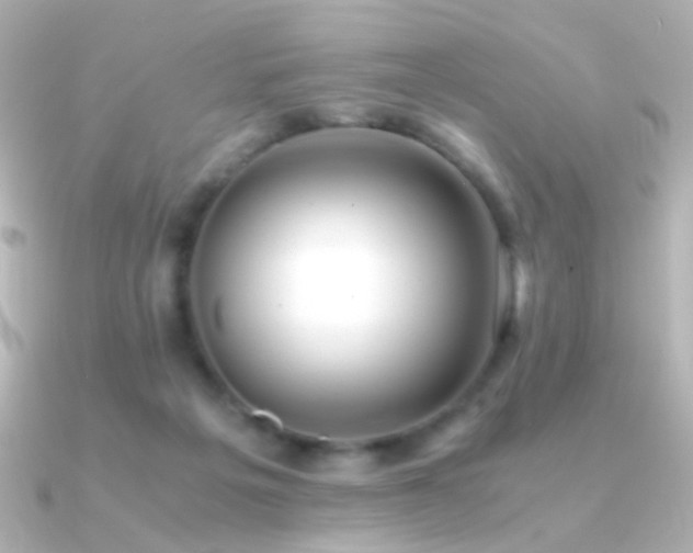 X0000091200217200708091313