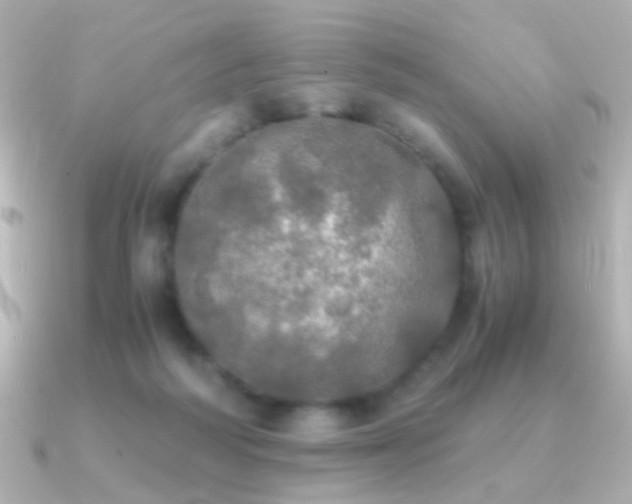 X0000091200218200708091313