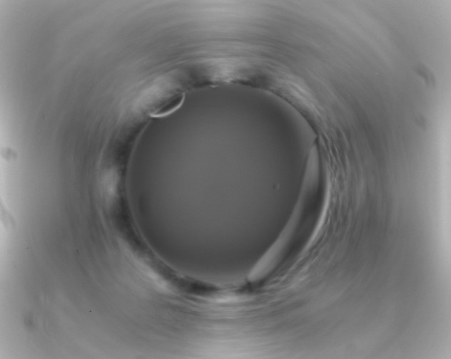 X0000091200219200708091313
