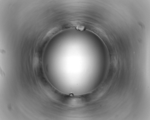 X0000091200220200708091313