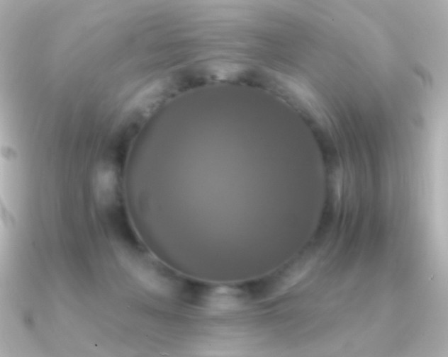 X0000091200222200708091313