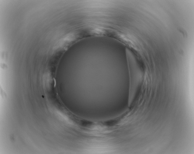 X0000091200223200708091313