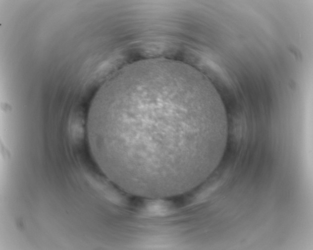 X0000091200226200708091313