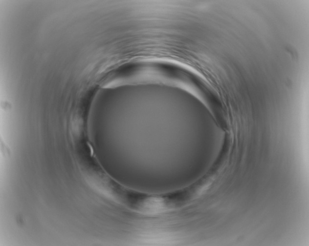 X0000091200227200708091312